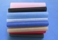 石林涤纶(PET)无纺布是什么